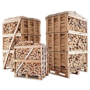 Beech Firewood